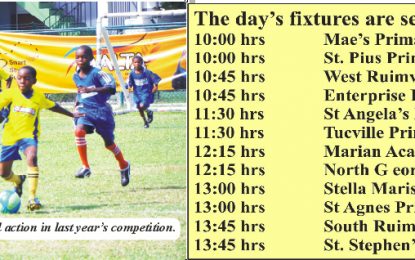 Courts 2016 Pee Wee Schools Football Competition