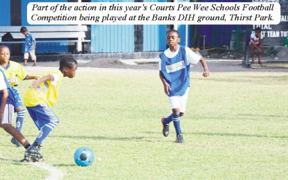 Courts Pee Wee Schools Football Competition…