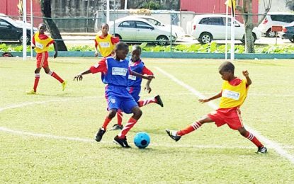 Courts Pee Wee Schools Football Competition…Cato’s hat-trick propels champions St. Angela’s into next round