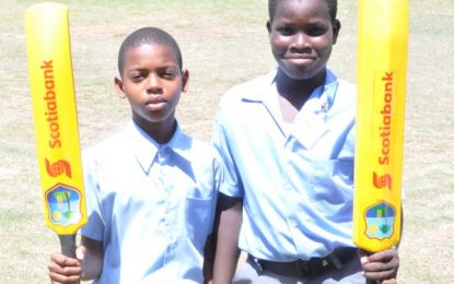 Scotiabank Kiddy Progression One Cricket…Cole 93, Mc Intosh 50 hand St. Stephen’s victory