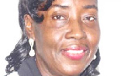 Low income housing for public servants in 2017