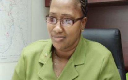 Sophia Ring Road nears completion