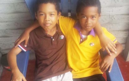Brothers cheat death on pedestrian crossing