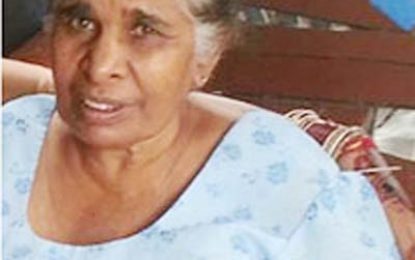 File on senior cop in elderly woman’s death with Crime Chief