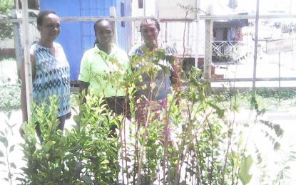 Linden Enterprise Network celebrates Agriculture Month