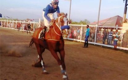 Rising Sun and Jumbo Jet race meet …Epic battle anticipated among Kazi Azari, Burbon Bullet and Spit Fire