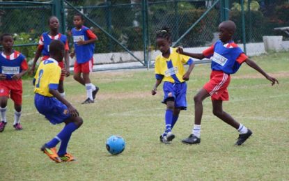 Courts Pee Wee Schools Football Competition…We are confident despite underdog tag-Wright