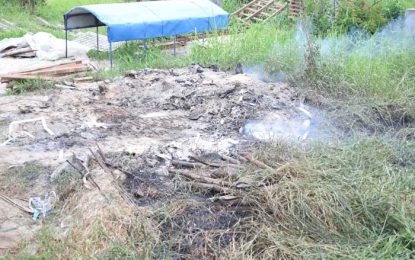 Construction workers cause grass fire at Nabi Scheme EBD