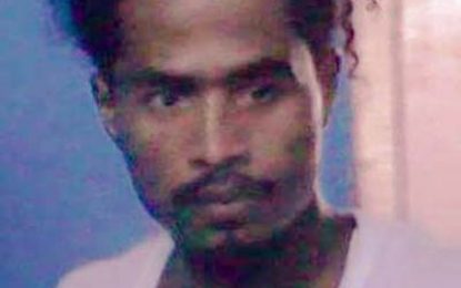 Chainsaw operator remanded after Mount Sinai gun, ammo find