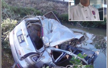 Cop serious after crashing into cows