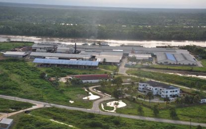 Laid-off Barama workers could receive small forest concessions