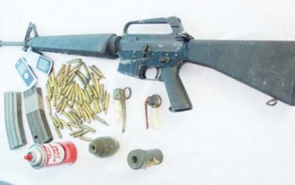 Govt to look into  multiple gun licences