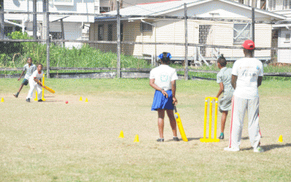 North Georgetown overcome Marian Academy