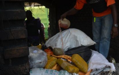 Police destroy $147M worth of marijuana