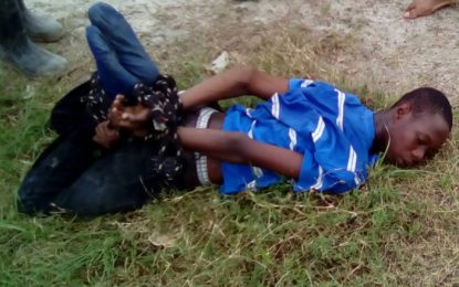 Barefaced thief caught red-handed with TV