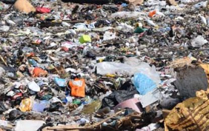 Composting should be implemented at Haags Bosch