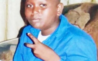 Schoolboy dies in Diamond road accident