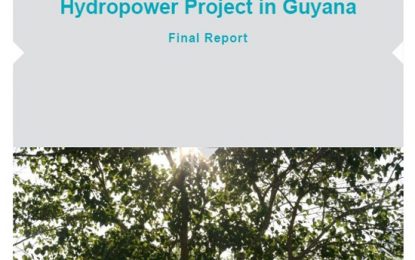 Find another Amaila contractor, investor – Norwegian consultant