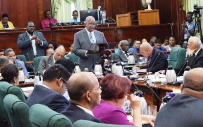 Sign language interpreters a first during National Budget presentation