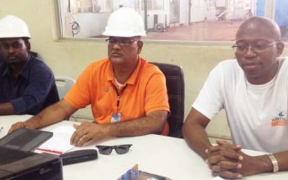 Skeldon co-gen power plant has enough power for holidays