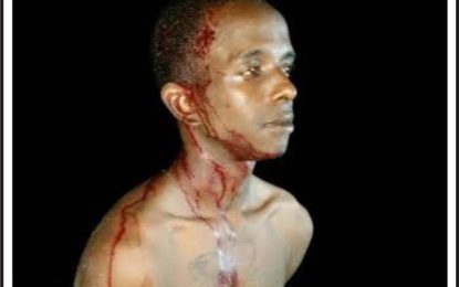 Suspects arrested shortly after robbery