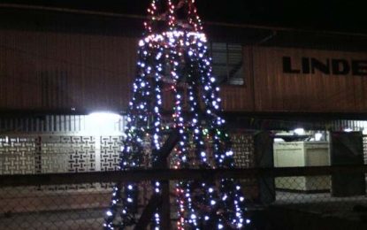 Wismar Market Vendors Association stages Christmas tree light up
