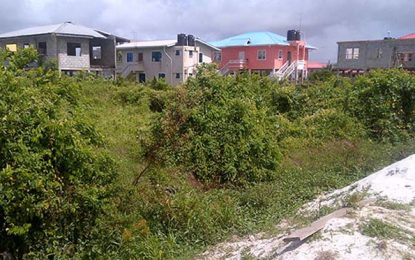 28,220 Gov’t house lots unoccupied – Bulkan