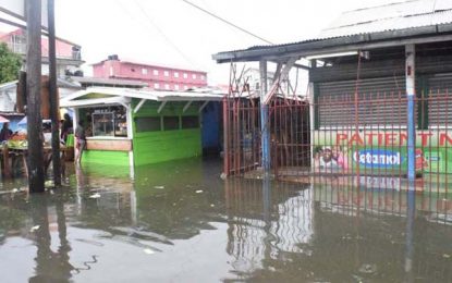 Govt establishes Task Force to find effective drainage solutions for Georgetown