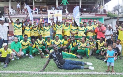 Softball cricket enjoyed another good outing in 2016