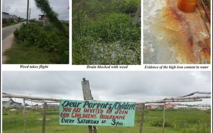 PROBLEMS ‘GALORE’ IN HASLINGTON NEW SCHEME