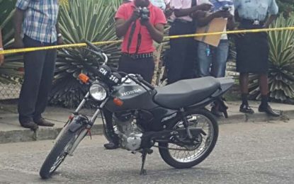 Businessman shoots bandit dead