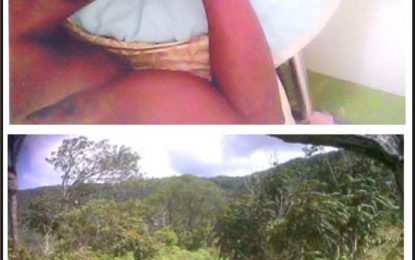 Survivor injured in 2014 plane crash seeks $10M