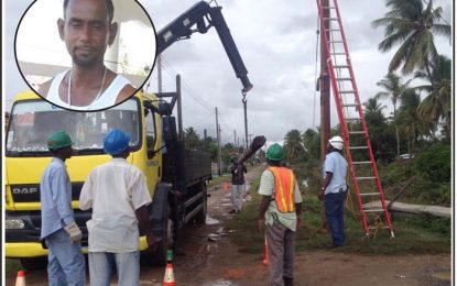 GPL worker falls to his death from damaged utility pole