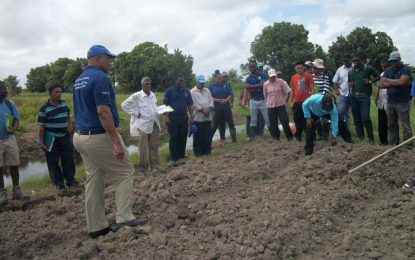 NAREI, PROPEL take Irish Potato trials to Santa Fe, Little Biaboo