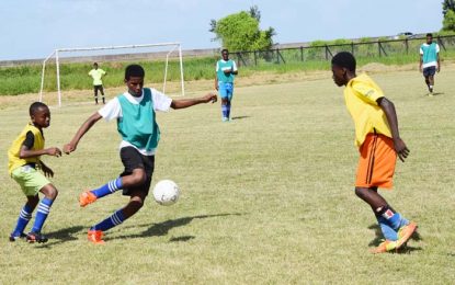 Milo football resumes today and tomorrow