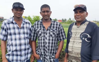 Black Bush residents protest house lots allocated on community playground