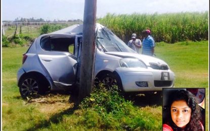 GBTI employee dies after crashing into utility pole