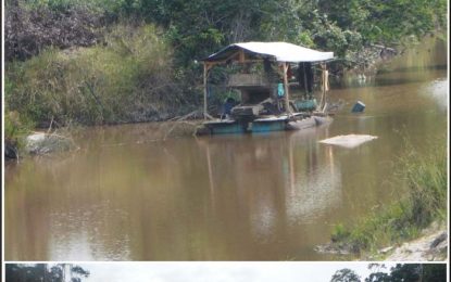 Three illegal mining operations ordered shut