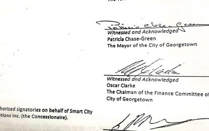 Contract with City Hall contradicts Smart City claims – Cush signed as director