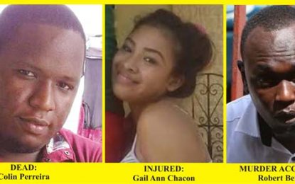 Tucville driveway shooter to stand trial for murder