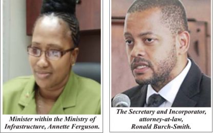 Cost to produce electricity will be cheaper after Wartsila – Ferguson