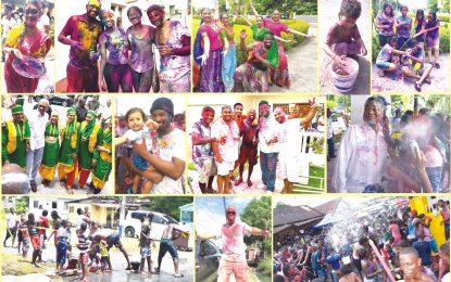 Phagwah celebrations 2017