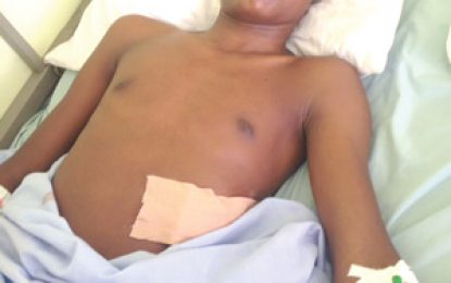 Teen on the run after stabbing Sophia schoolboy