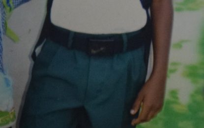 Mother seeks help to locate missing son