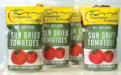 Transformative Project on the rise for Paramakatoi – Pt 3