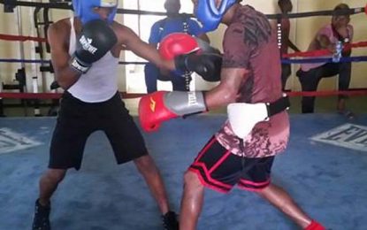 Dexter ‘The Kid’ Marques steps up training for fight with Venezuelan