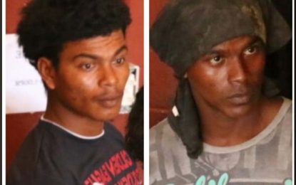 Bothers on bail for allegedly stealing employer’s gold