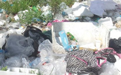 ‘Garden City’ slowly returning to ‘Garbage City’ state?