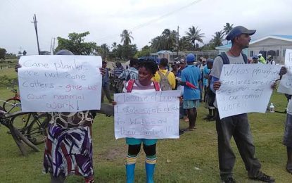 East Demerara planters protest GuySuCo cane-cutting orders