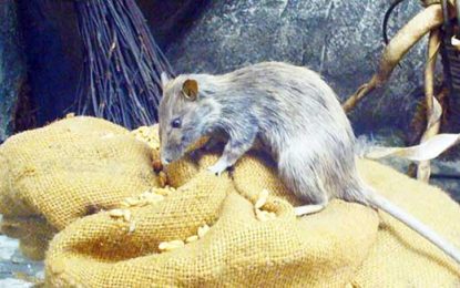 Poor storage of evidence hampers police investigations